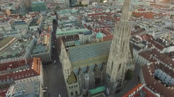 Letecký Pohled Stephansdom — Stock video