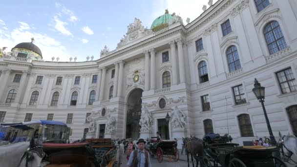 Hästvagnar Framför Hofburgs Slott — Stockvideo