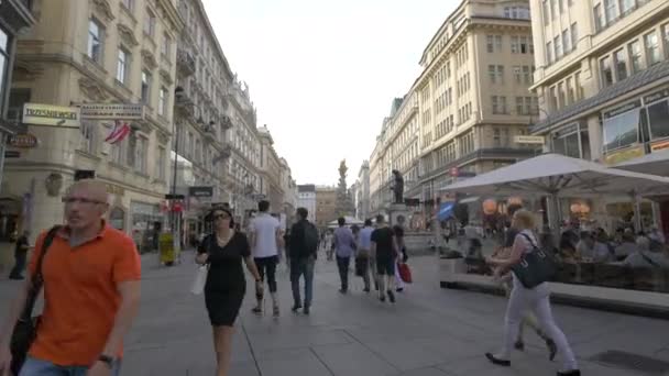 Walking Graben Street Vienna — Stock Video