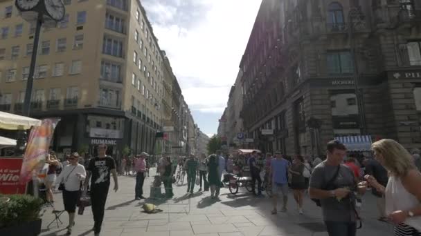 Stephansplatz Krntner Strae Viyana Avusturya — Stok video