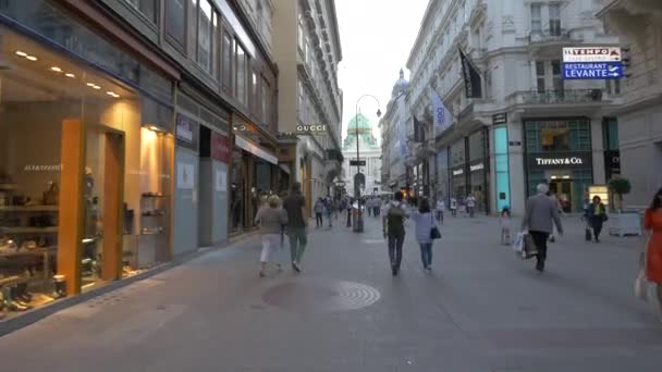 Pessoas Que Passam Pelas Lojas Rua Kohlmarkt — Vídeo de Stock