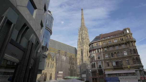 Stephansplatz Meydanı Ndaki Ünlü Binalar — Stok video