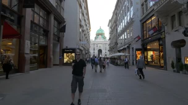 Calle Kohlmarkt Palacio Hofburg — Vídeos de Stock