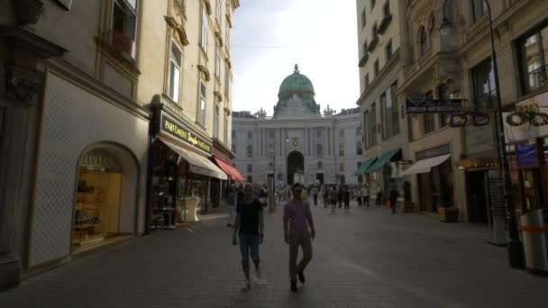 Palazzo Hofburg Visto Kohlmarkt — Video Stock
