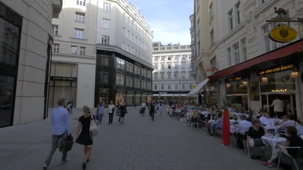 Bognergasse Caddesinde Yürüyorum — Stok video