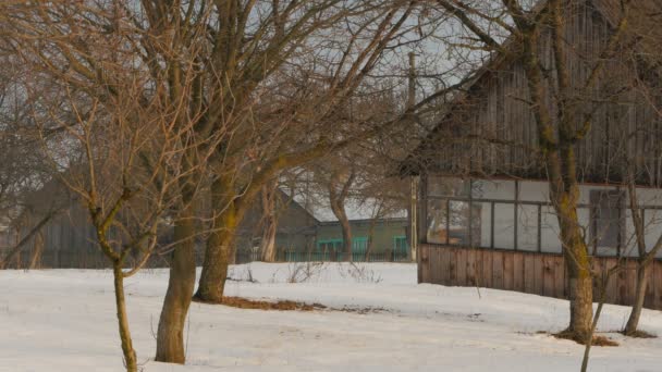 Bäume Und Häuser Einem Dorf Winter — Stockvideo