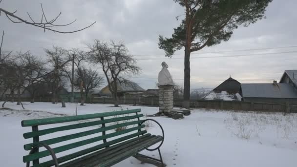 冬の間に見られるキプリアン ポルンベスク像 — ストック動画