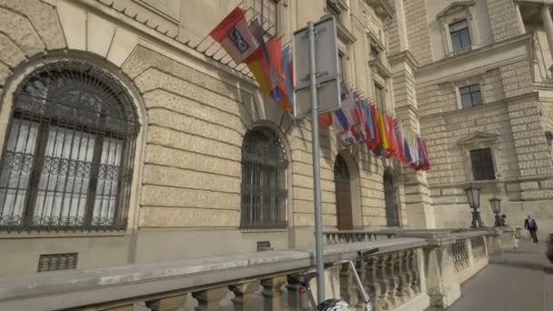 Bandeiras Internacionais Neue Burg — Vídeo de Stock