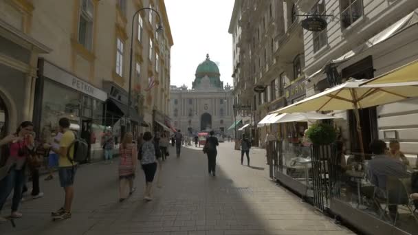 Gatuvy Över Hofburg Palace — Stockvideo