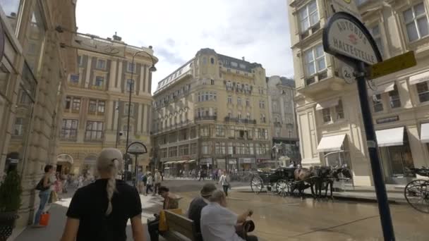 People Streets Vienna Austria — Video Stock