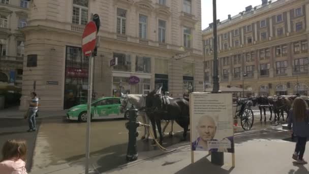 Carruajes Caballos Calle Jungferngasse Viena Austria — Vídeos de Stock