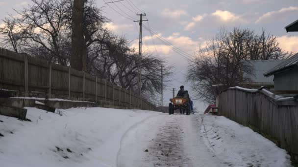 Carro Cavallo Che Muove Una Strada Durante Inverno — Video Stock