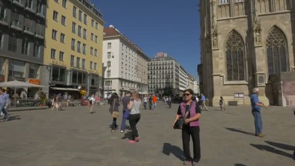 Passeggiate Stephansplatz Vienna Austria — Video Stock