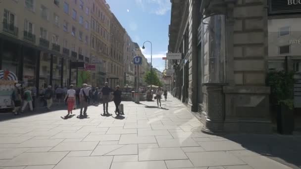Camminando Sulla Karntner Strasse Vienna — Video Stock