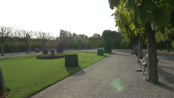 皇家花园有灌木丛和树木的小巷 — 图库视频影像