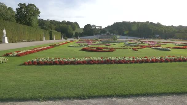 Blumen Garten Von Schloss Schönbrunn — Stockvideo