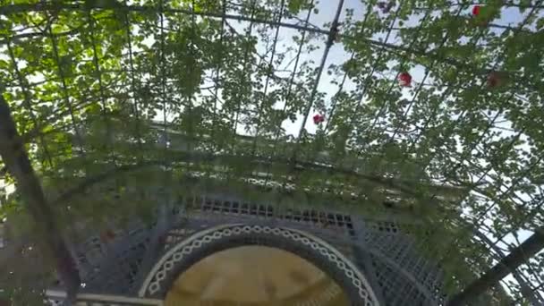 Low Angle Rose Trellis Pavilion — Stock Video