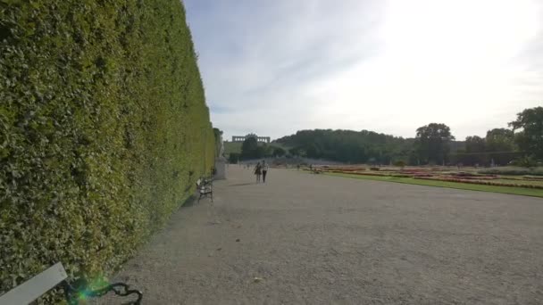 Beco Com Bancos Schonbrunn Palace Garden — Vídeo de Stock