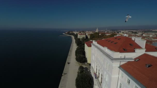 Denizin Zadar Üniversitesi Nin Hava Manzarası — Stok video