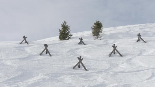 Snow Fences Two Fir Trees — Vídeos de Stock