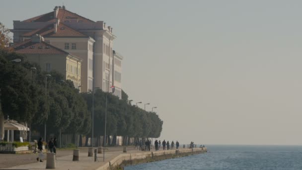 Bâtiment Arbres Bord Mer — Video