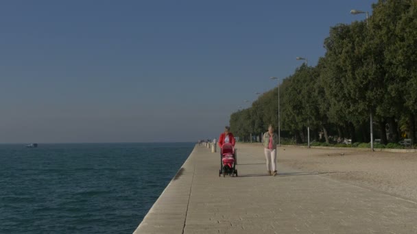 Mujeres Con Carrito Bebé Muelle — Vídeo de stock