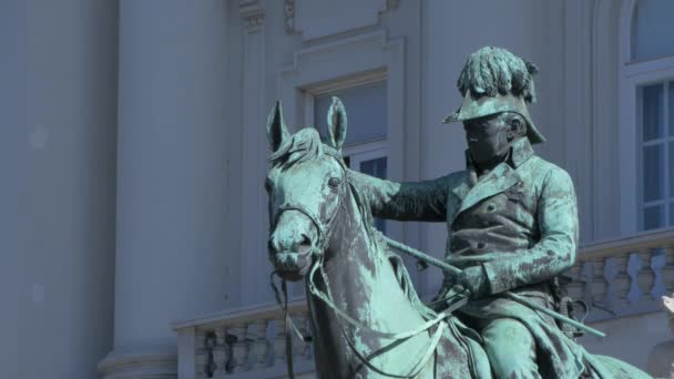 Vue Sur Une Statue Équestre — Video