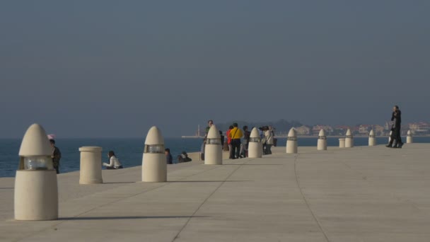 Mensen Een Zonnige Pier — Stockvideo