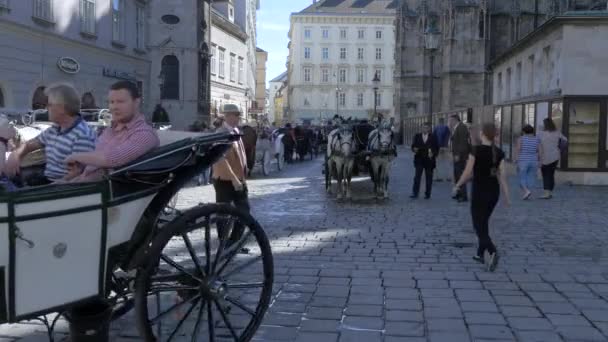 Carros Caballos Stephansplatz — Vídeos de Stock