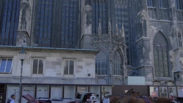 Nakloněný Pohled Katedrálu Štěpána — Stock video