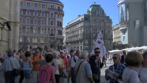 Grupa Turystów Stephansplatz — Wideo stockowe