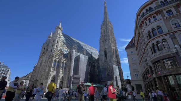 Vista Walking Perto Stephansdom — Vídeo de Stock