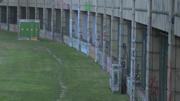 Paredes Con Graffiti Hierba Verde — Vídeo de stock