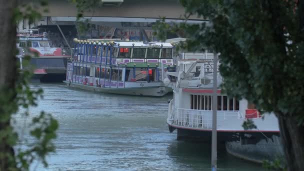 Tourist Boats Vienna Austria — Stock Video
