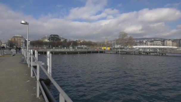 Piers Vid Zürich Zürich — Stockvideo