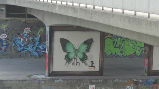 Grafitis Mariposa Sobre Pilar Puente — Vídeo de stock