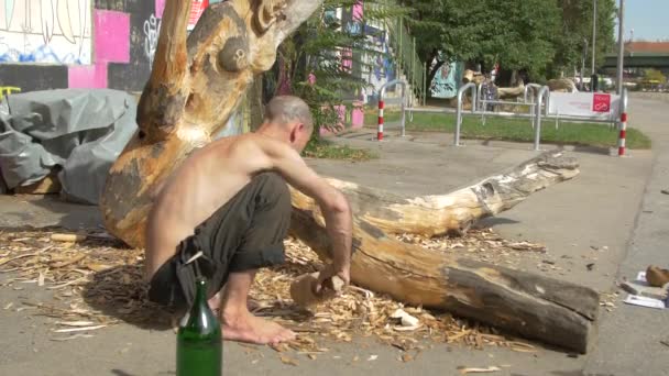 Изображение Человека Вырезающего Дерево — стоковое видео