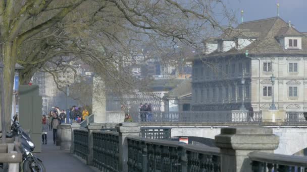 Гроссмунстерский Мост Цюрихе Швейцария — стоковое видео