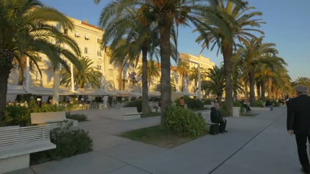 Rast Der Riva Promenade — Stockvideo