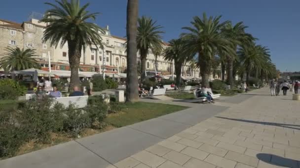 Palmer Och Bänkar Riva Promenade — Stockvideo