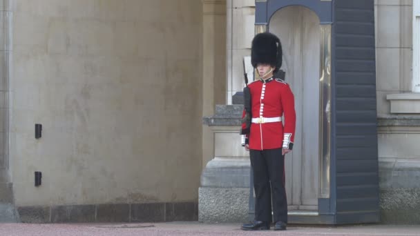 伦敦白金汉宫的卫兵 — 图库视频影像