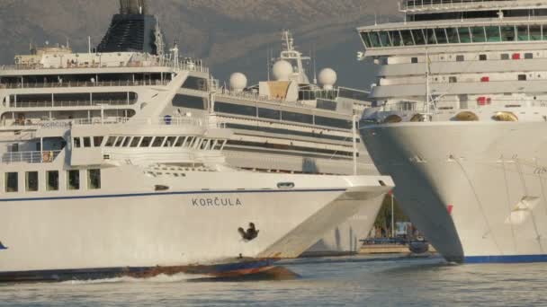 Barcos Passageiros Porto — Vídeo de Stock
