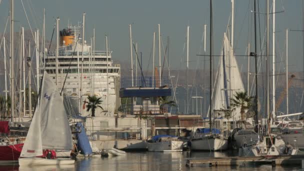 Voiliers Dans Port — Video