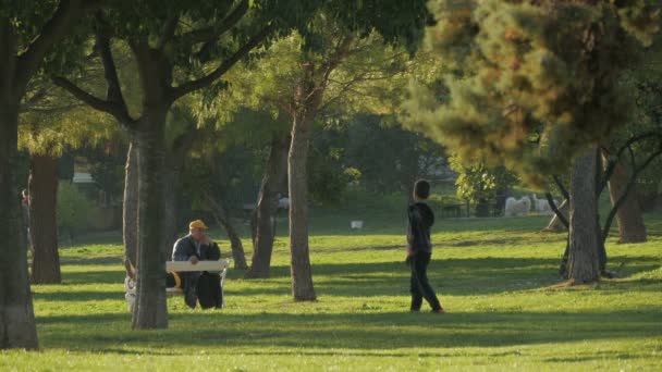 公园里的人 — 图库视频影像