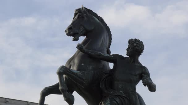 Bronzene Pferdebändiger Statue — Stockvideo