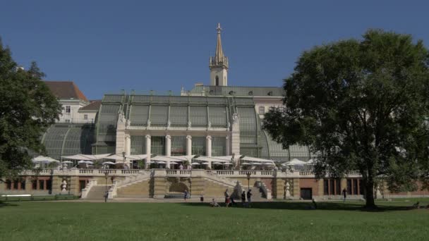 Palm House Burggartenu — Stock video