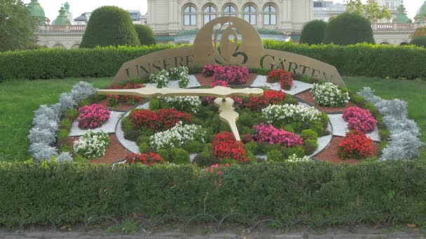 Ρολόι Λουλούδι Στο Stadtpark — Αρχείο Βίντεο
