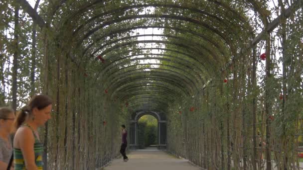 Trellis Rose Pawilon Privy Gardens — Wideo stockowe