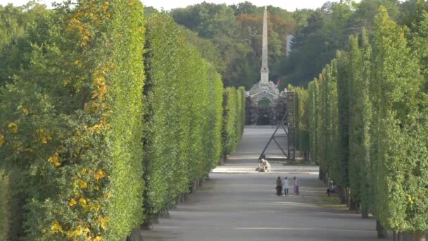 Obelisco Los Jardines Schonbrunn — Vídeos de Stock