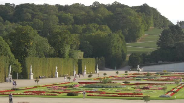 Floral Ρυθμίσεις Στο Schonbrunn Garden — Αρχείο Βίντεο